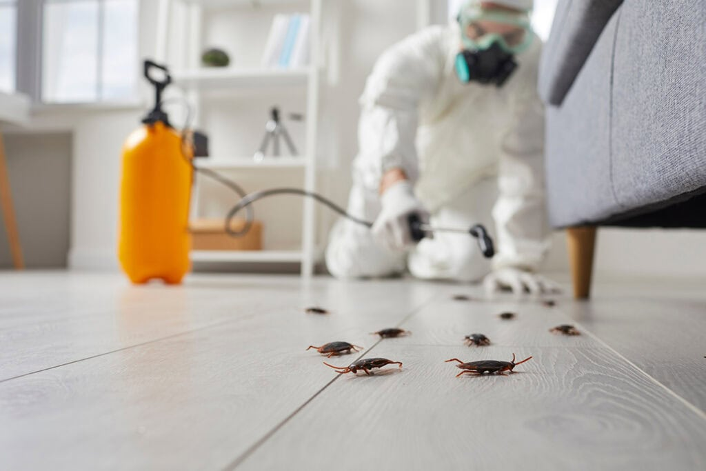 10 Signs You Have a Pest Problem in Your NJ Home This Spring (And What to Do About It)